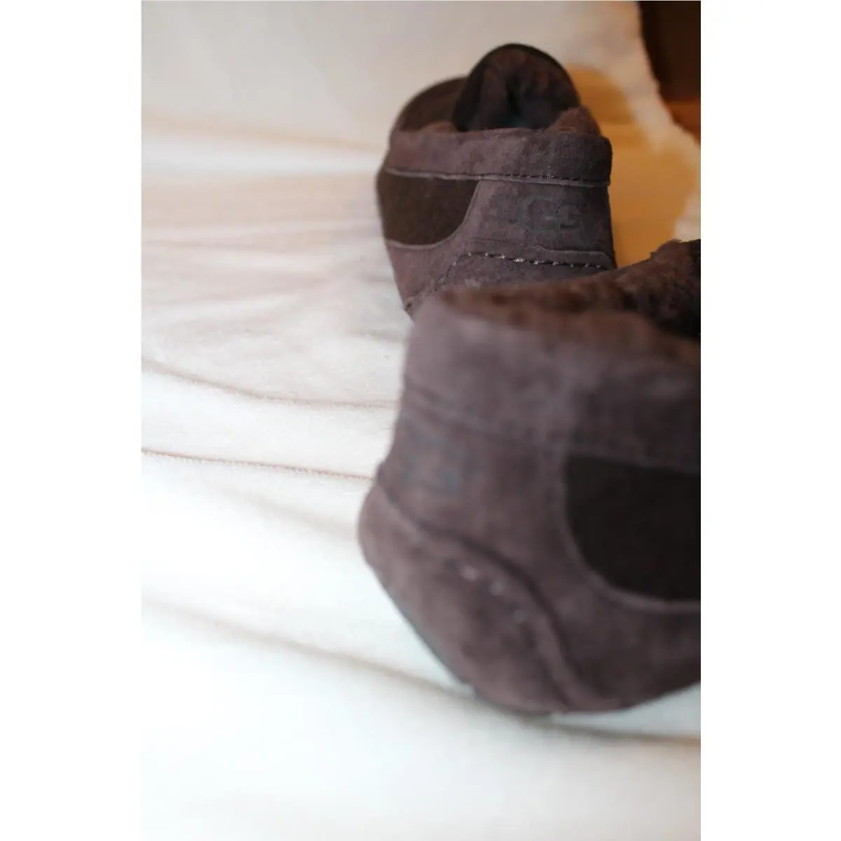 UGG shoes - ASCOT - ASCOT - Brown 14