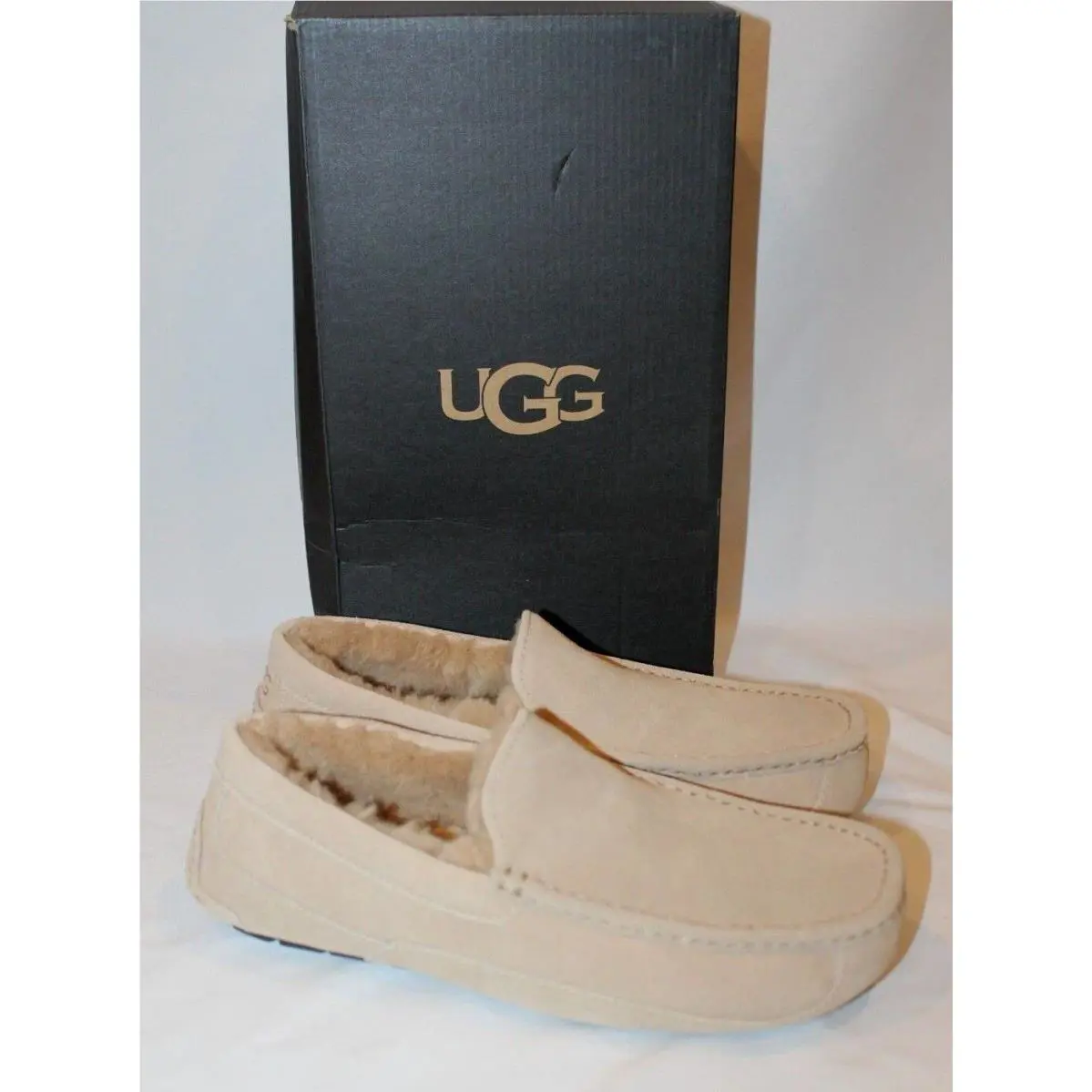 UGG shoes - ASCOT - ASCOT - Beige 1
