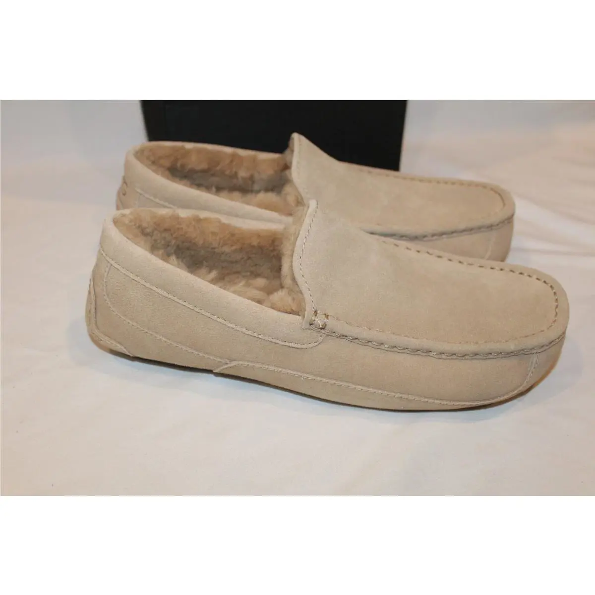 UGG shoes - ASCOT - ASCOT - Beige 3