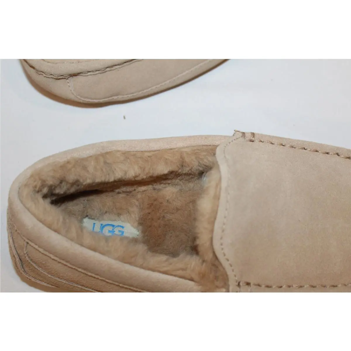 UGG shoes - ASCOT - ASCOT - Beige 10