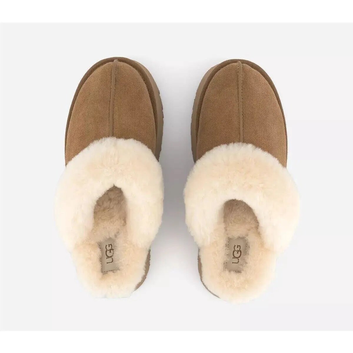 UGG shoes - Disquette - Disquette - Brown 9