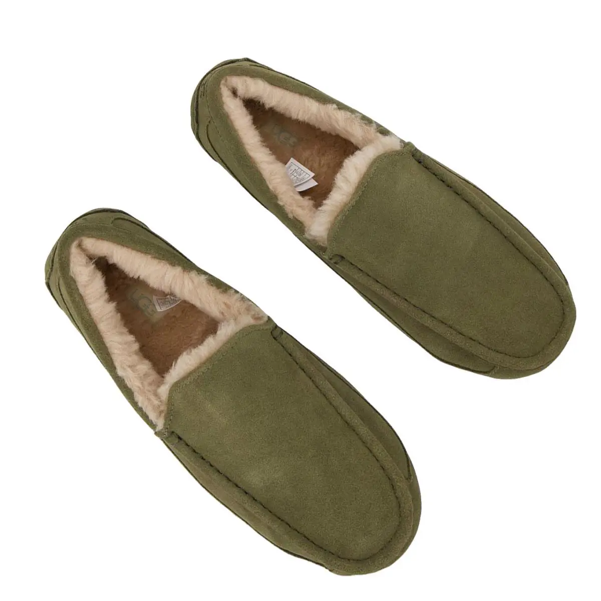 UGG shoes - Ascot - Ascot - 1101110 - Green 4