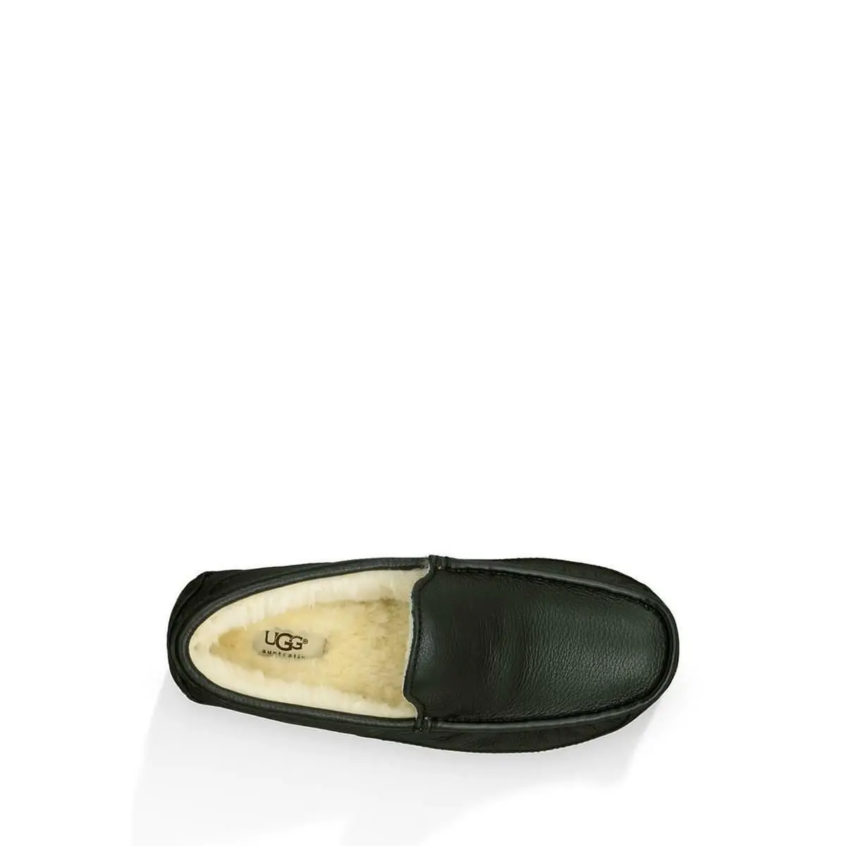 UGG shoes - Ascot - Ascot - Brown 15