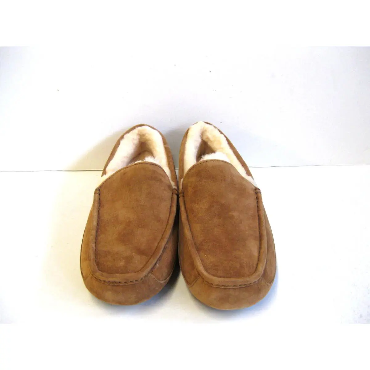 UGG shoes - ASCOT - ASCOT - Chestnut 1