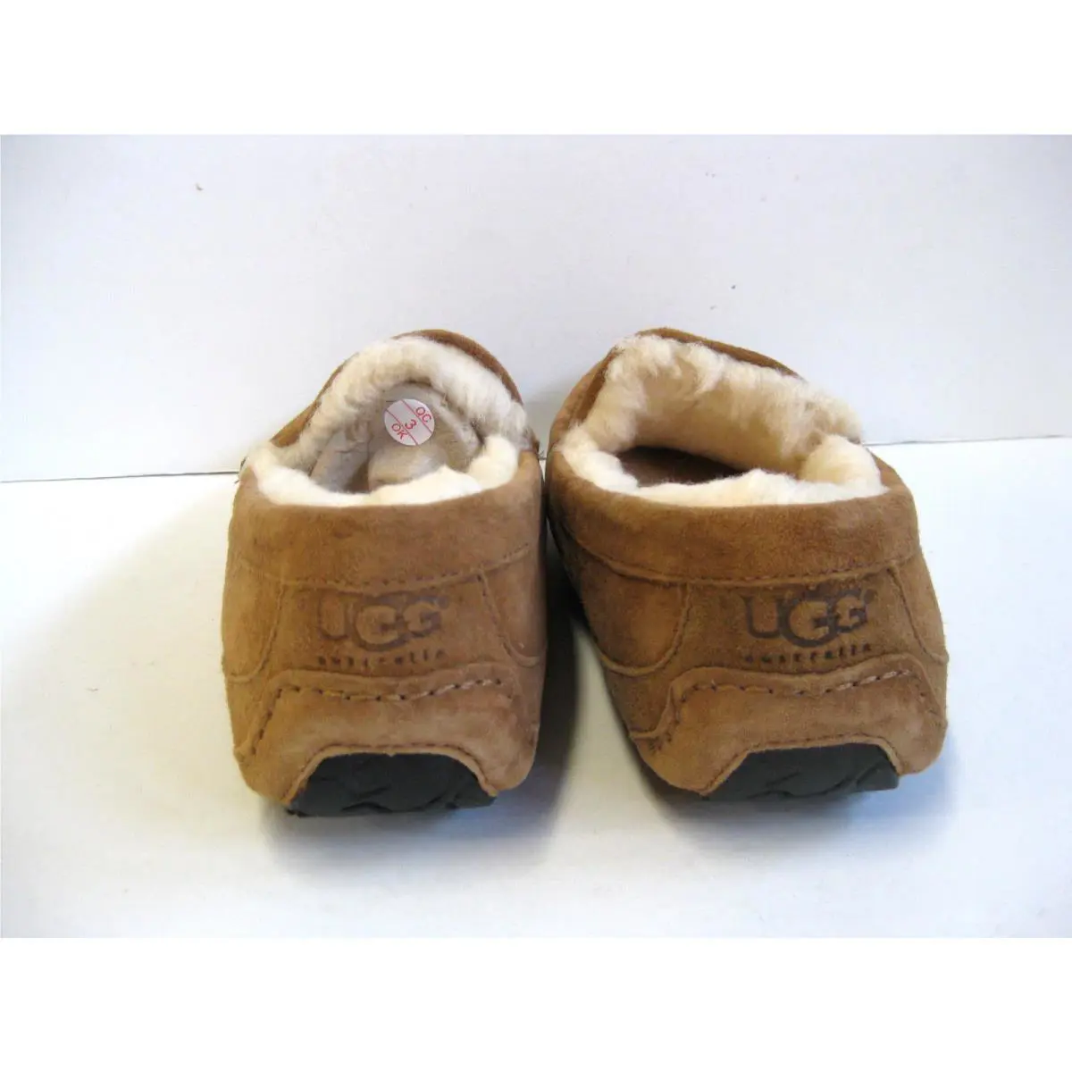 UGG shoes - ASCOT - ASCOT - Chestnut 3