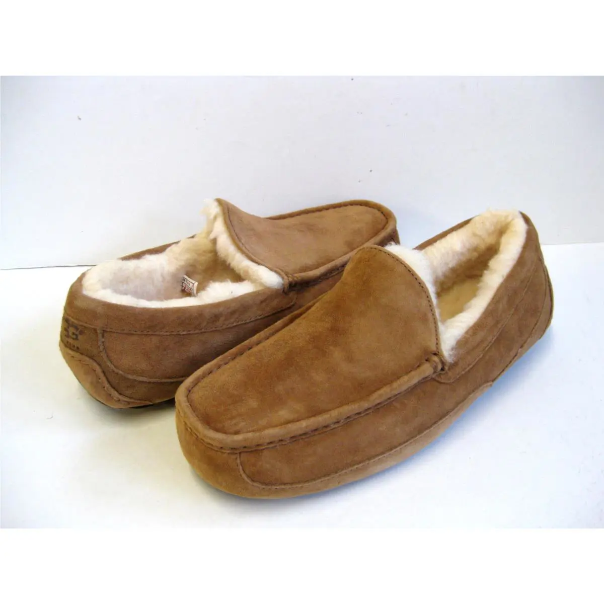 UGG shoes - ASCOT - ASCOT - Chestnut 5