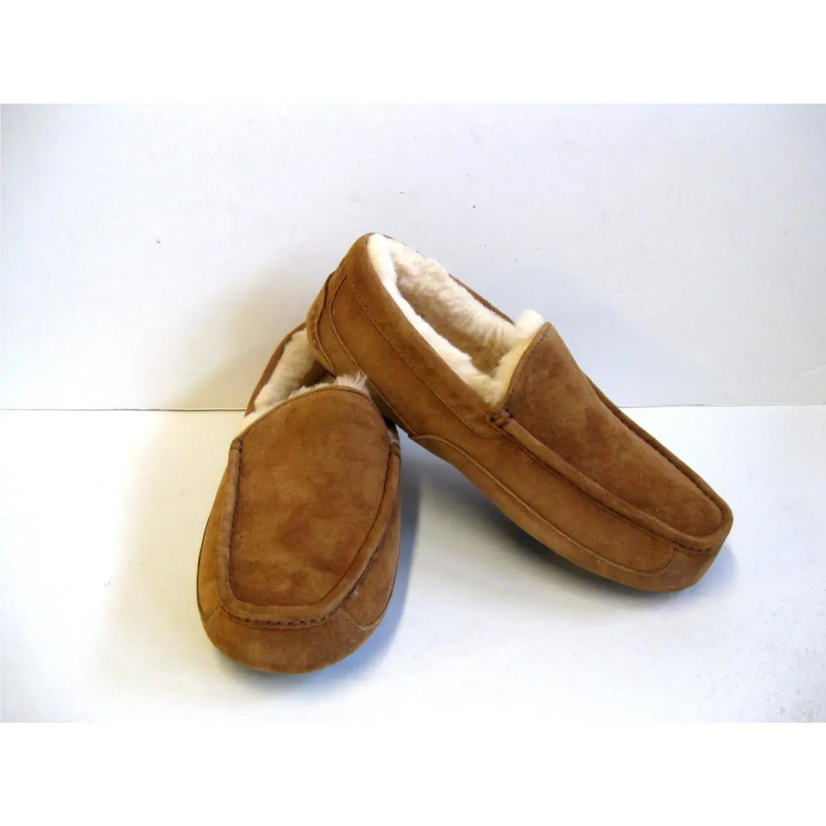 UGG shoes - ASCOT - ASCOT - Chestnut 0