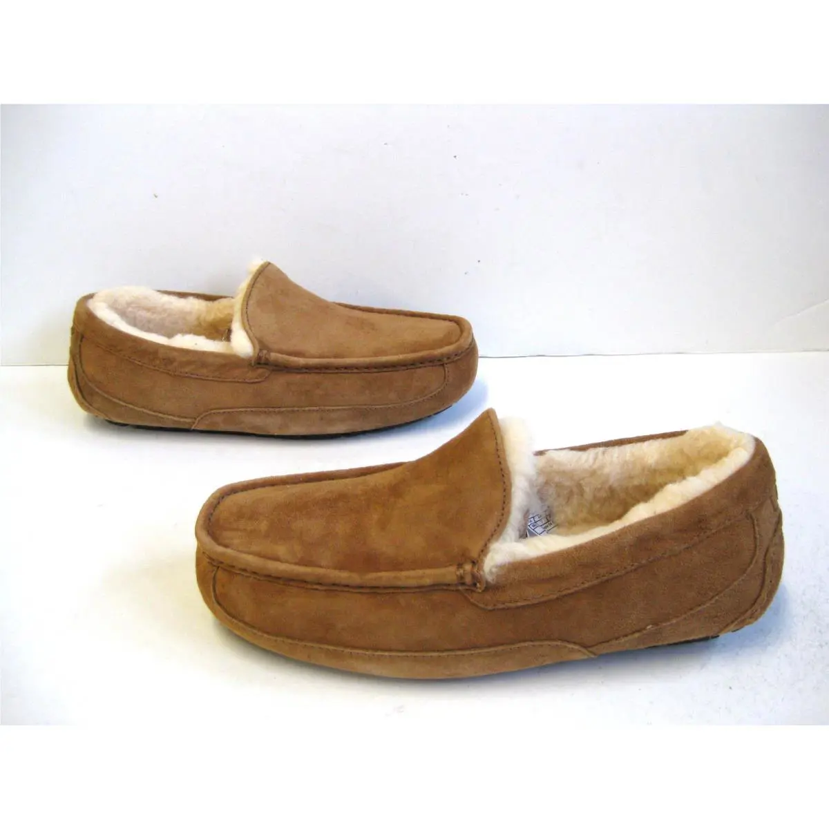 UGG shoes - ASCOT - ASCOT - Chestnut 2