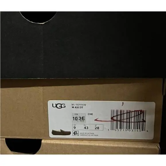 UGG shoes - ASCOT - ASCOT - Chestnut 5