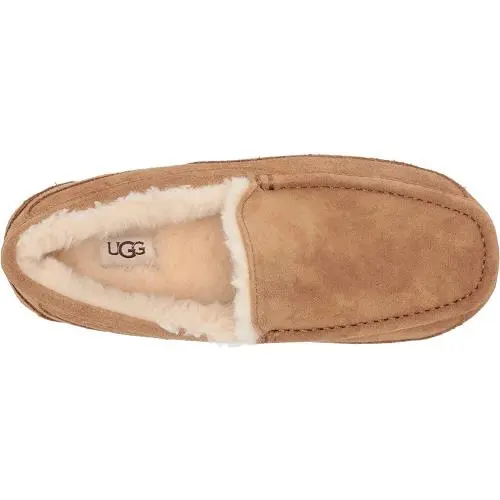 UGG shoes - MEN ASCOT MEDIUM - MEN ASCOT MEDIUM - 1101110 - Chestnut 3