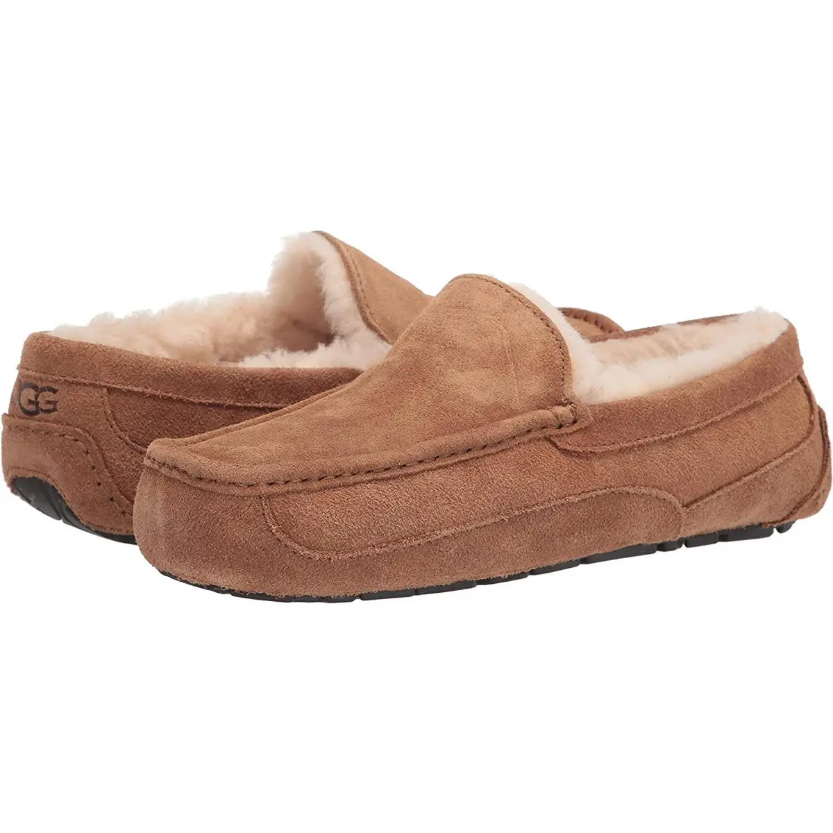 UGG shoes - MEN ASCOT MEDIUM - MEN ASCOT MEDIUM - 1101110 - Chestnut 13