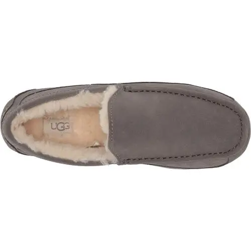 UGG shoes - MEN ASCOT MEDIUM - MEN ASCOT MEDIUM - 1101110 - Grey 11