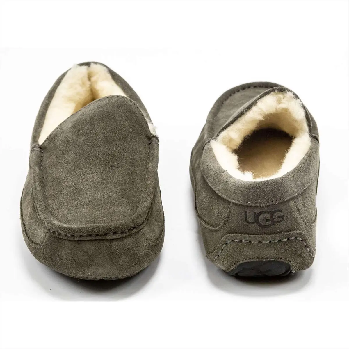 UGG shoes - Ugg Ascot - Ascot - Chestnut 16