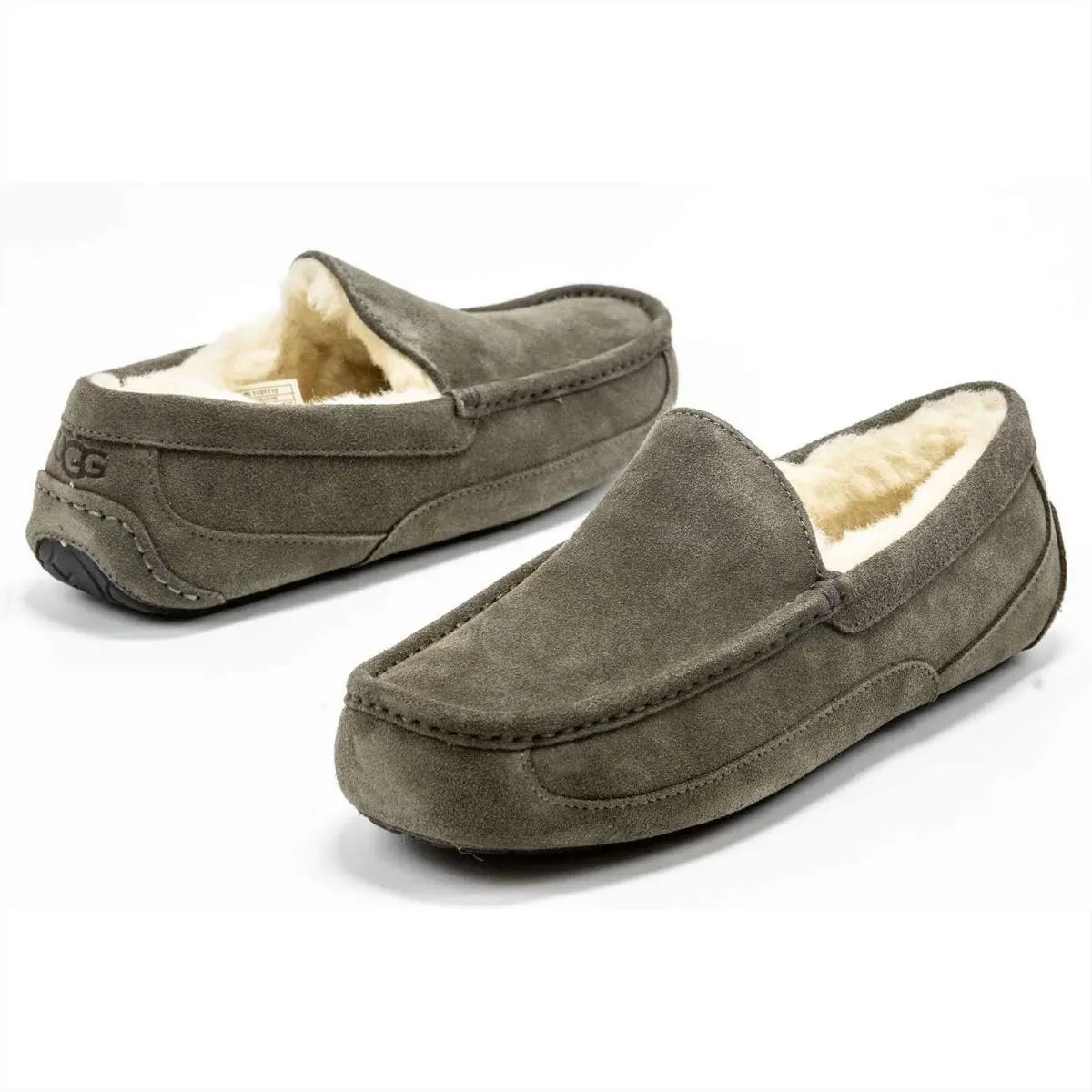 UGG shoes - Ugg Ascot - Ascot - Chestnut 17