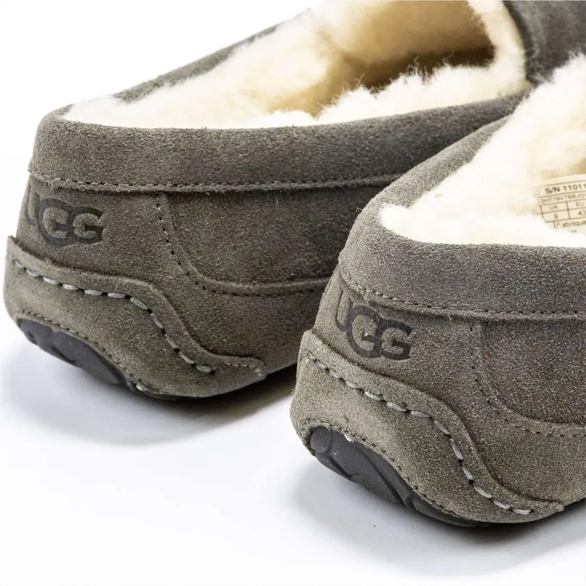 UGG shoes - Ugg Ascot - Ascot - Chestnut 18