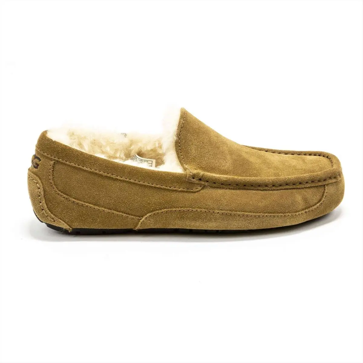 UGG shoes - Ugg Ascot - Ascot - Chestnut 21