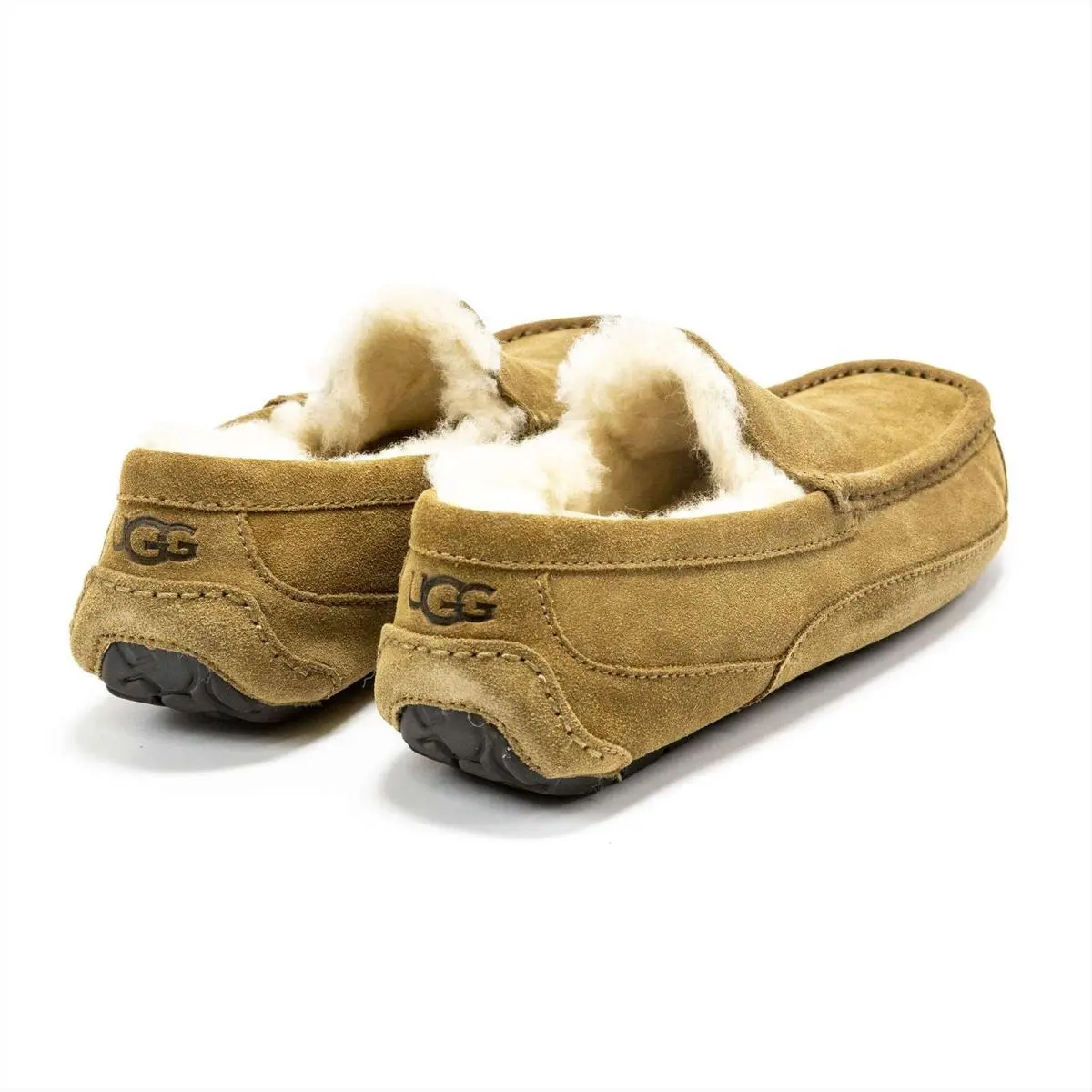 UGG shoes - Ugg Ascot - Ascot - Chestnut 22