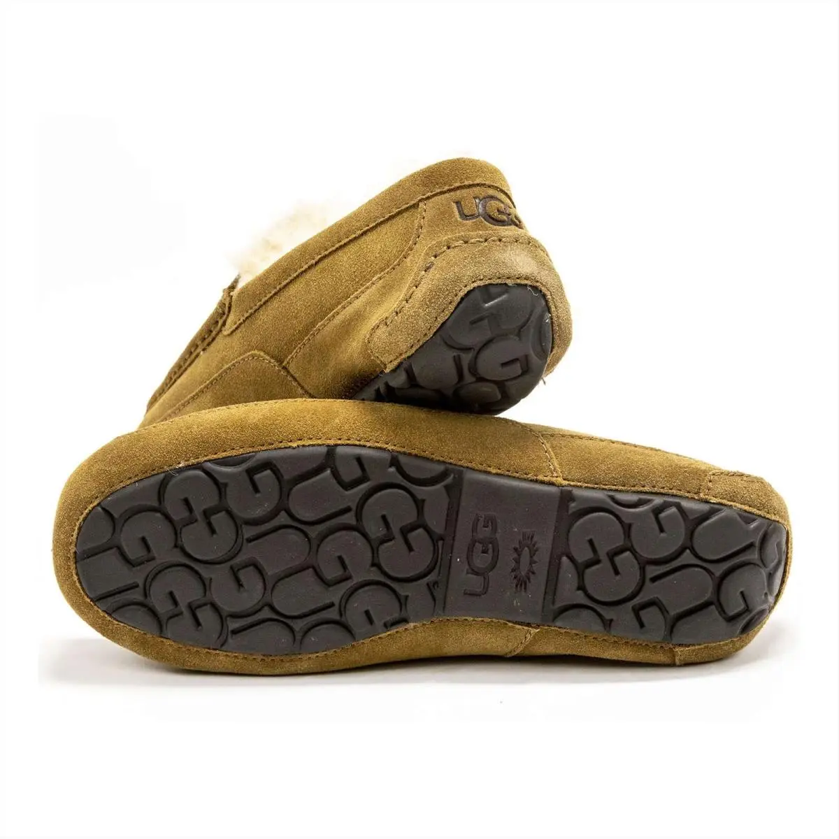 UGG shoes - Ugg Ascot - Ascot - Chestnut 26