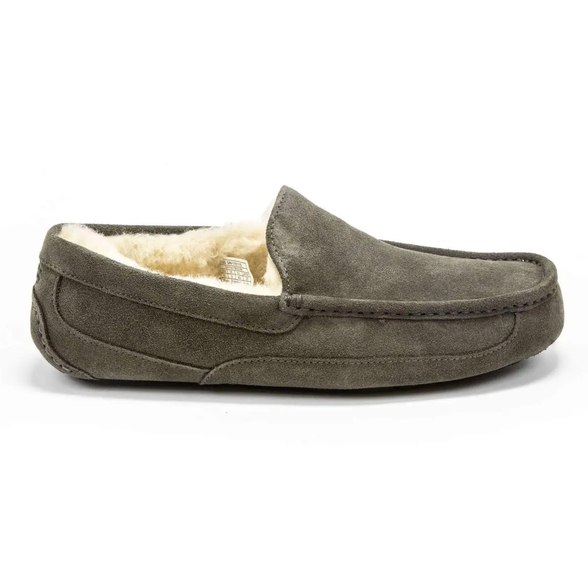UGG shoes - Ugg Ascot - Ascot - Chestnut 14