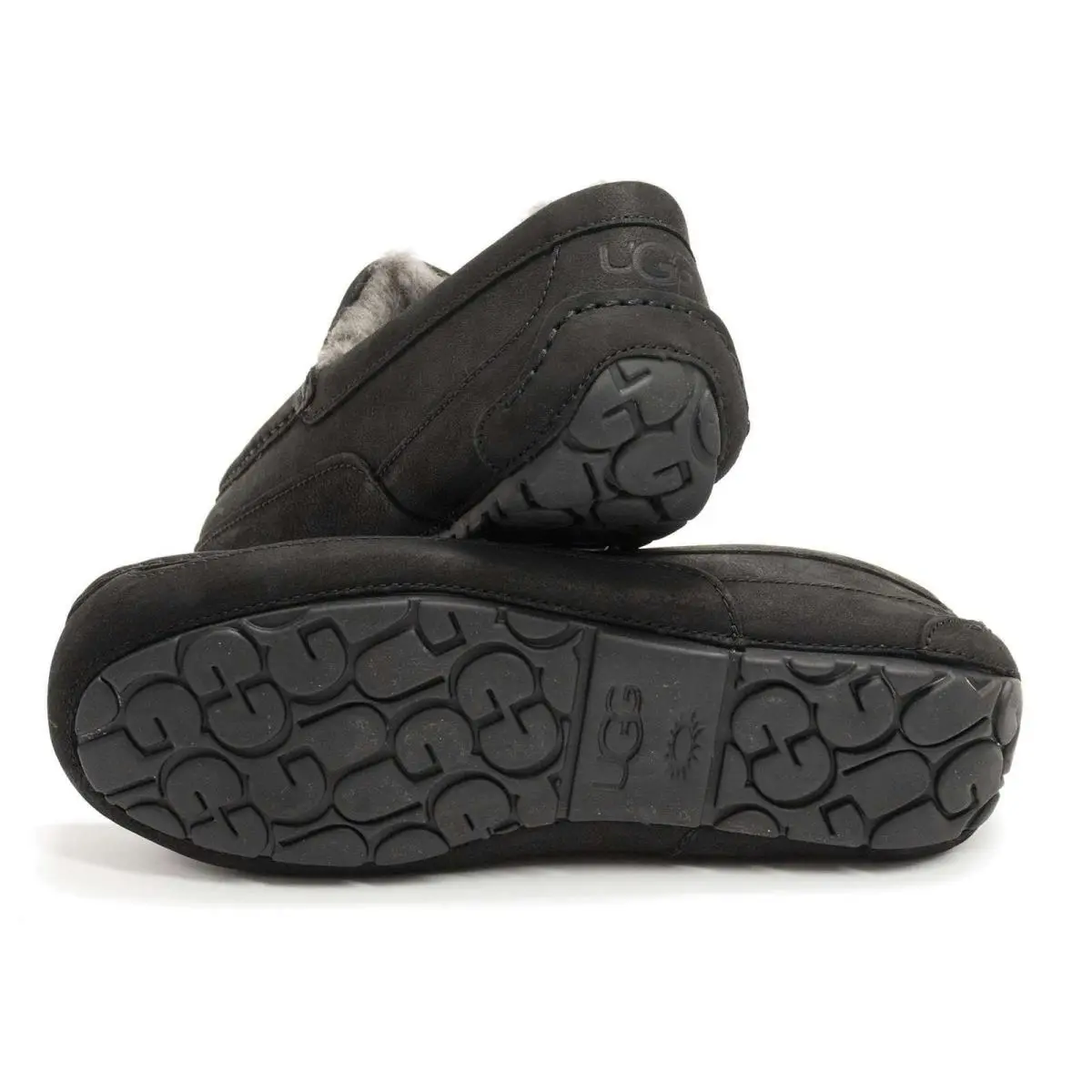 UGG shoes - Ugg Ascot - Ascot - Chestnut 40