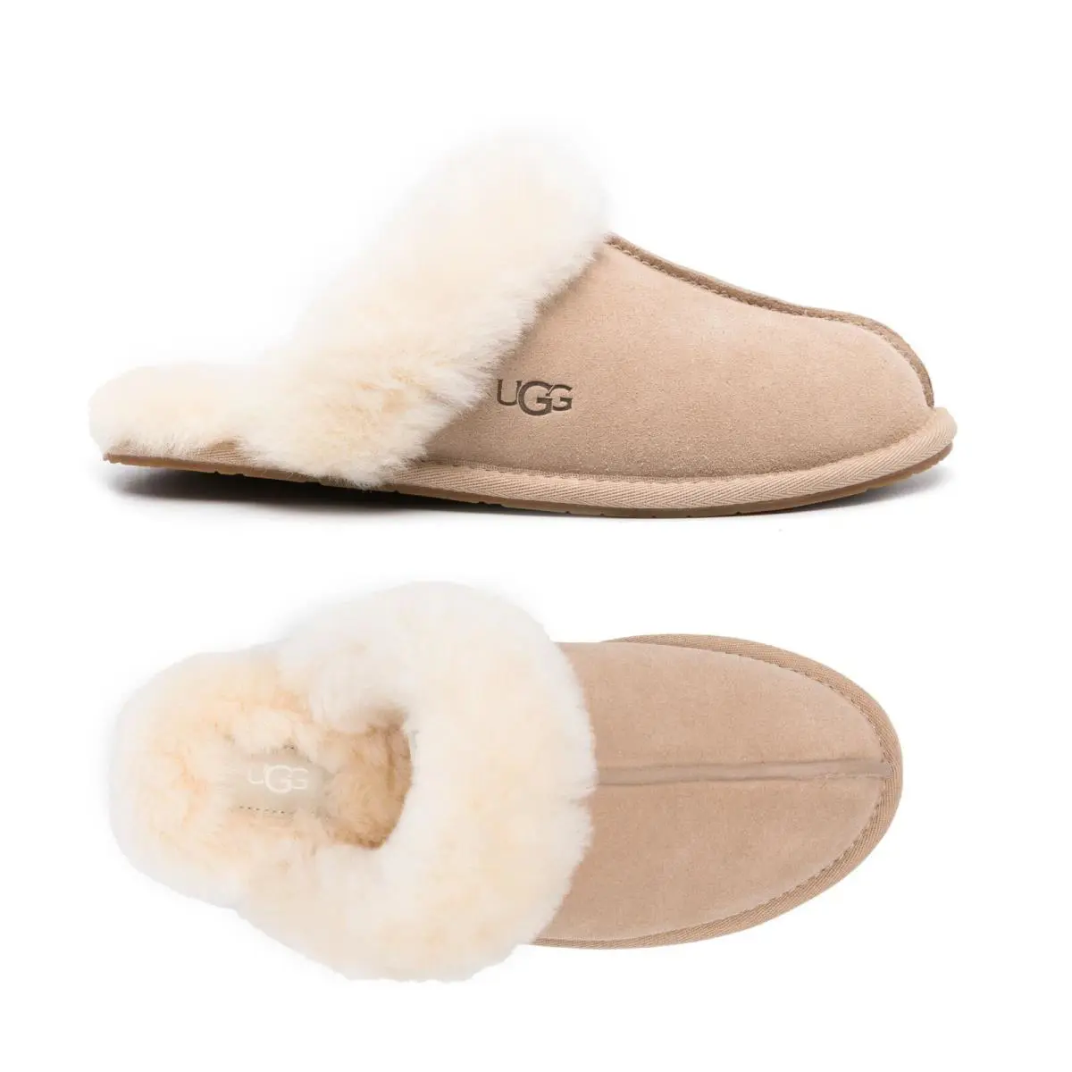 UGG shoes - Scuffette II - Scuffette - Sand 2