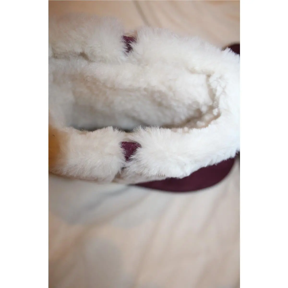 UGG shoes - BURGUNDY RED 3
