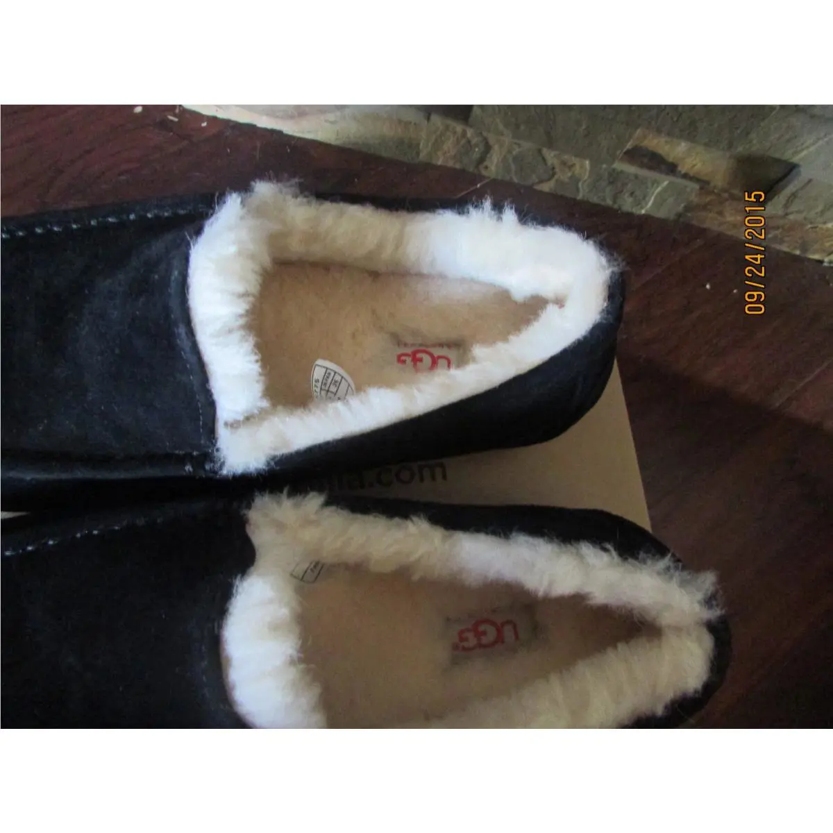 UGG shoes - Ascot - Ascot - 5775 - Black (UPC: 887278613626) 5