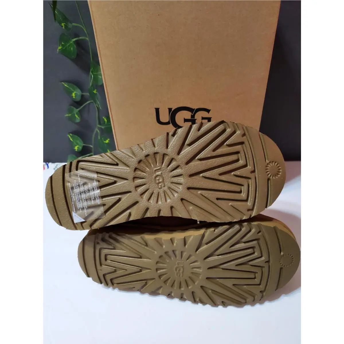 UGG shoes - Tasman - Tasman - Brown 10