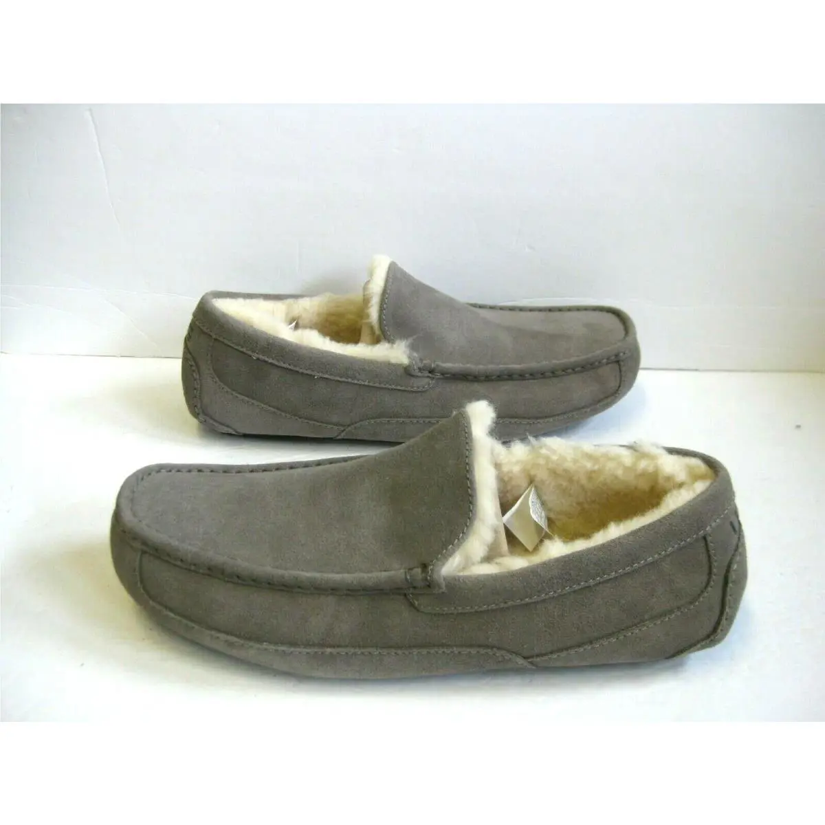 UGG shoes - UGG ASCOT - ASCOT - Grey 1