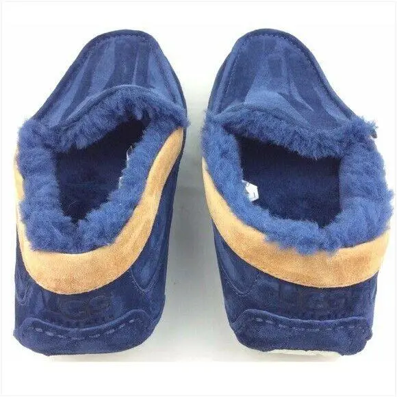 UGG shoes - Ascot - Ascot - Blue 0