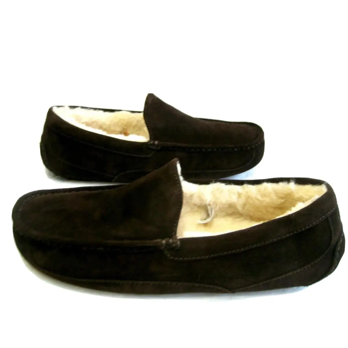 UGG shoes - ASCOT - ASCOT - Espresso 1