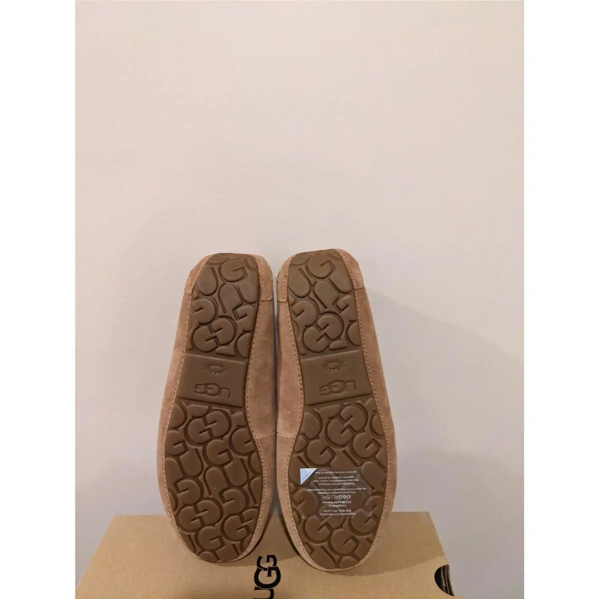 UGG shoes - Chestnut 3