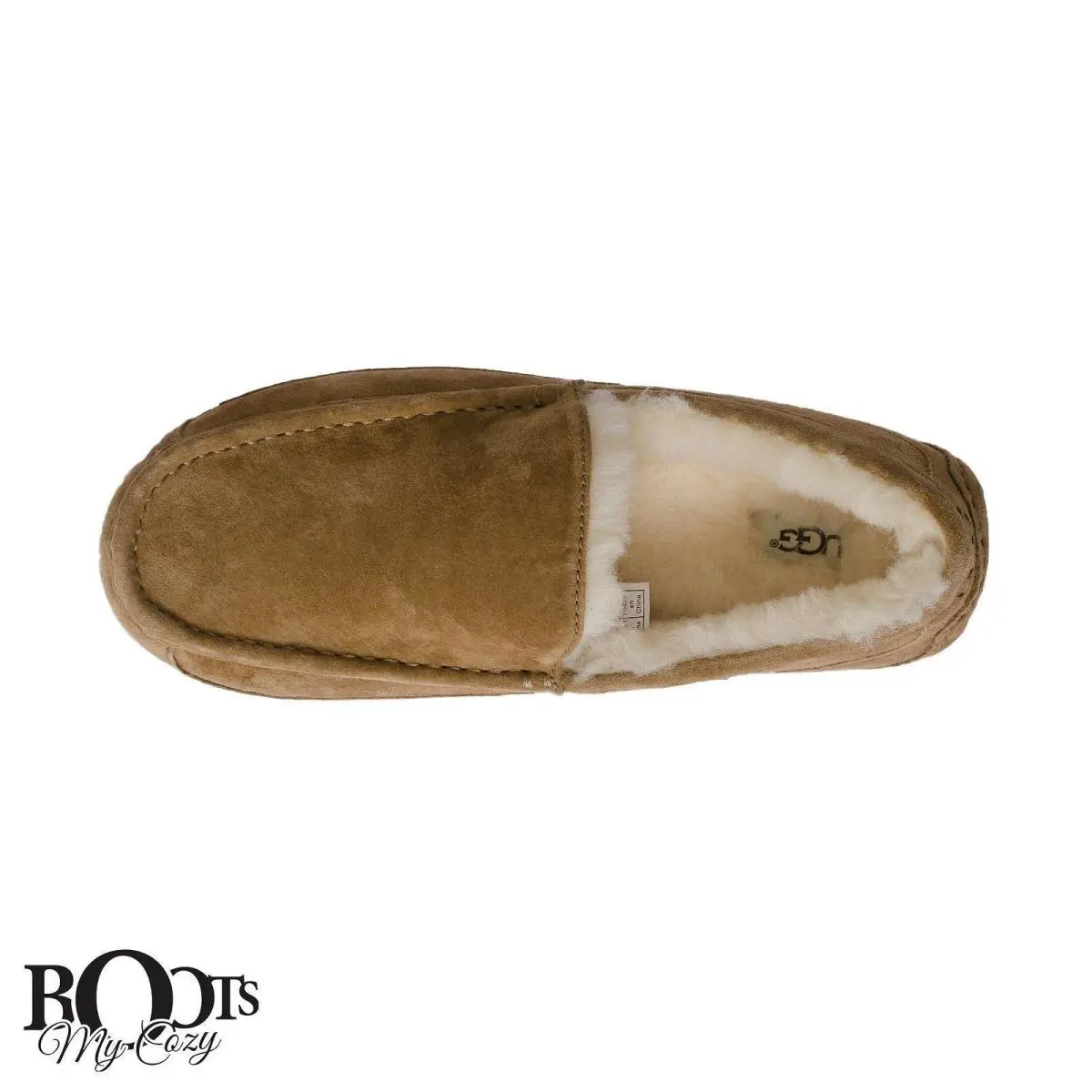 UGG shoes - Chestnut (UPC: 889830793159) 3