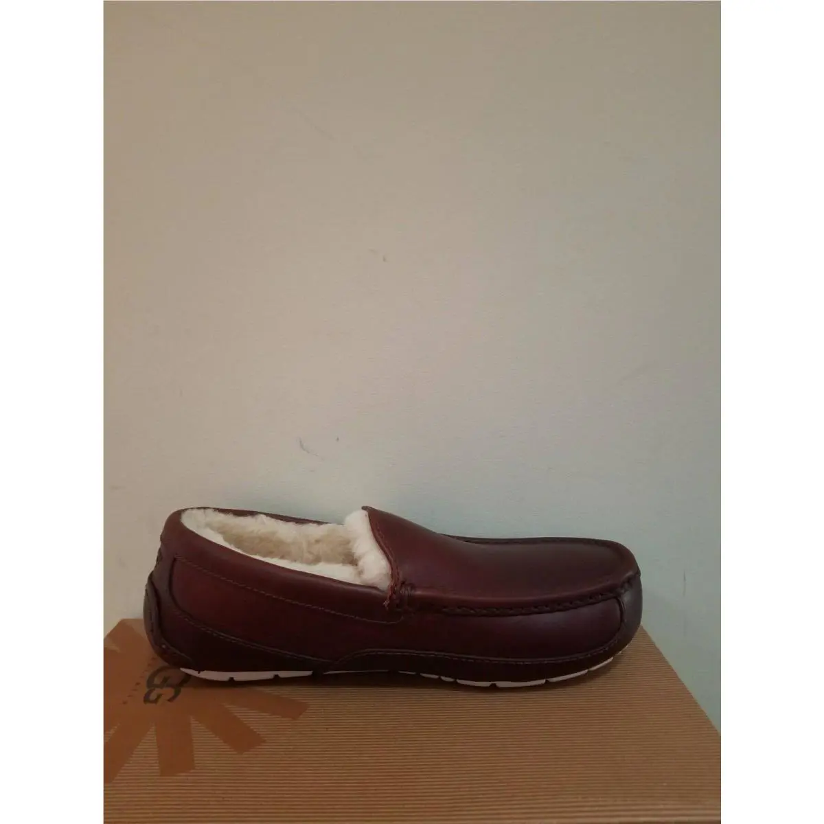 UGG shoes - Ascot - Ascot - cordovan 1