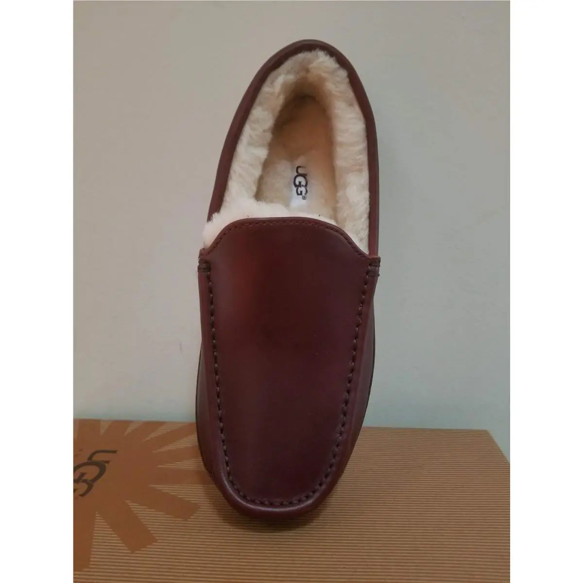 UGG shoes - Ascot - Ascot - cordovan 3