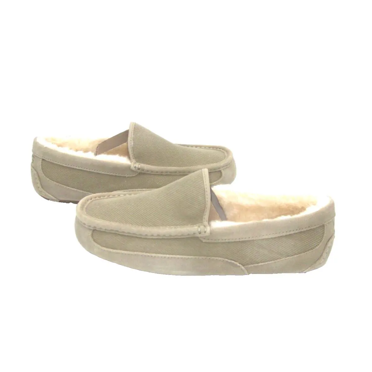 UGG shoes - ASCOT - ASCOT - Dune 1