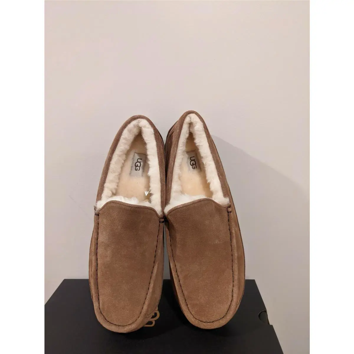 UGG shoes - Ugg Australia Ascot - Australia Ascot - Chestnut 0