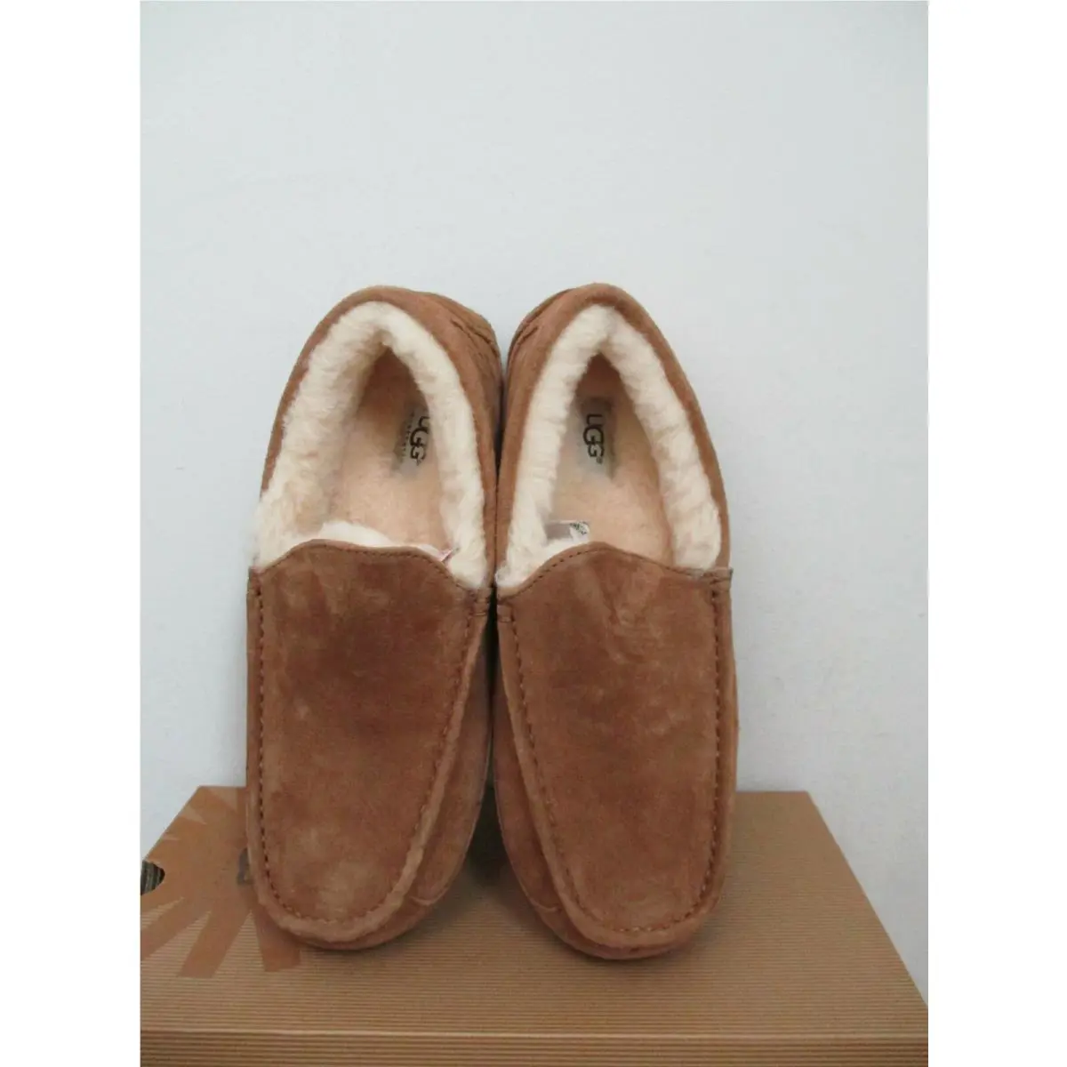UGG shoes - ASCOT - ASCOT - 5775 - Brown, Manufacturer: Chestnut (UPC: 889830793159) 0