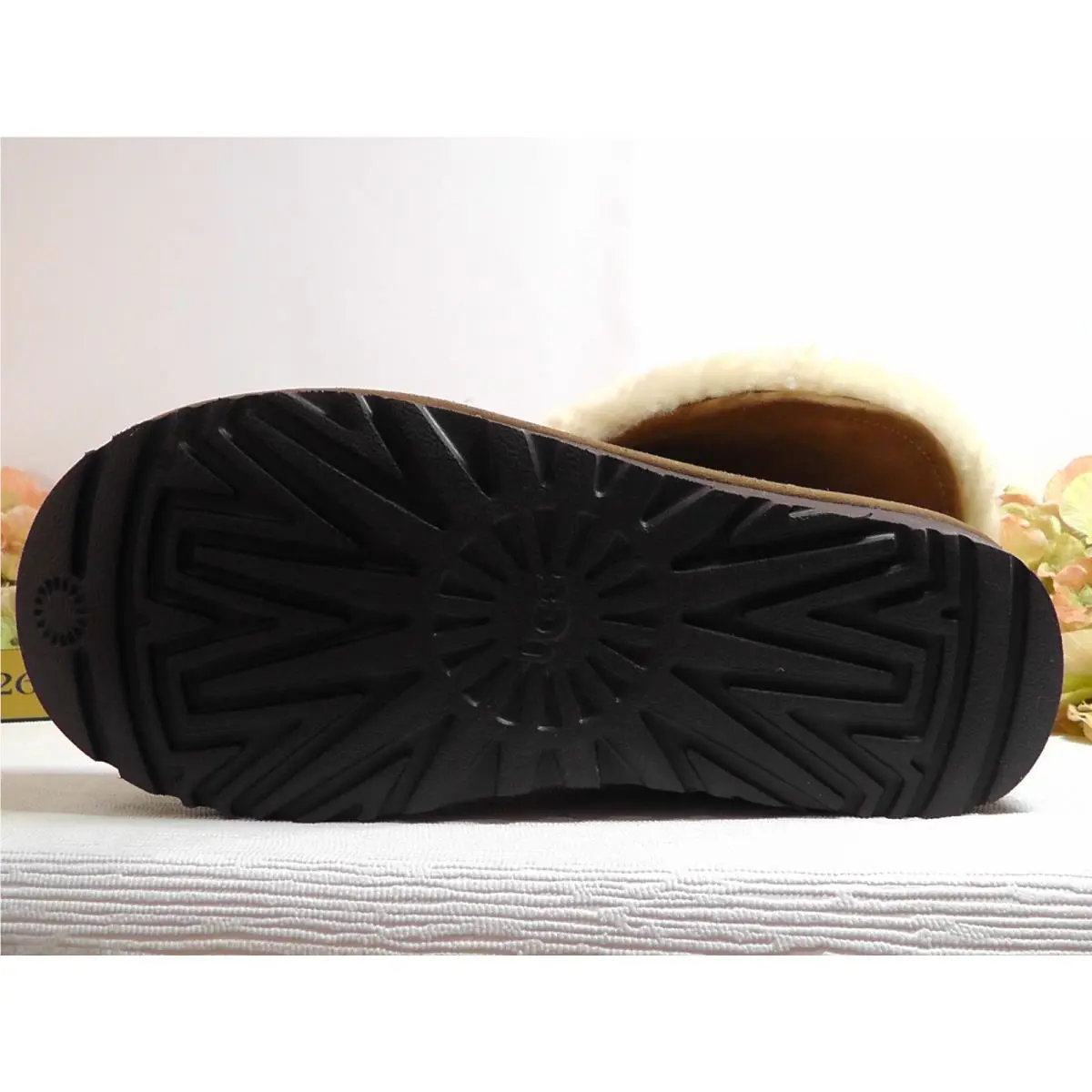 UGG shoes - Chestnut 6