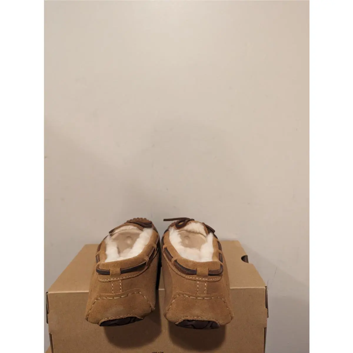UGG shoes - Chestnut 2