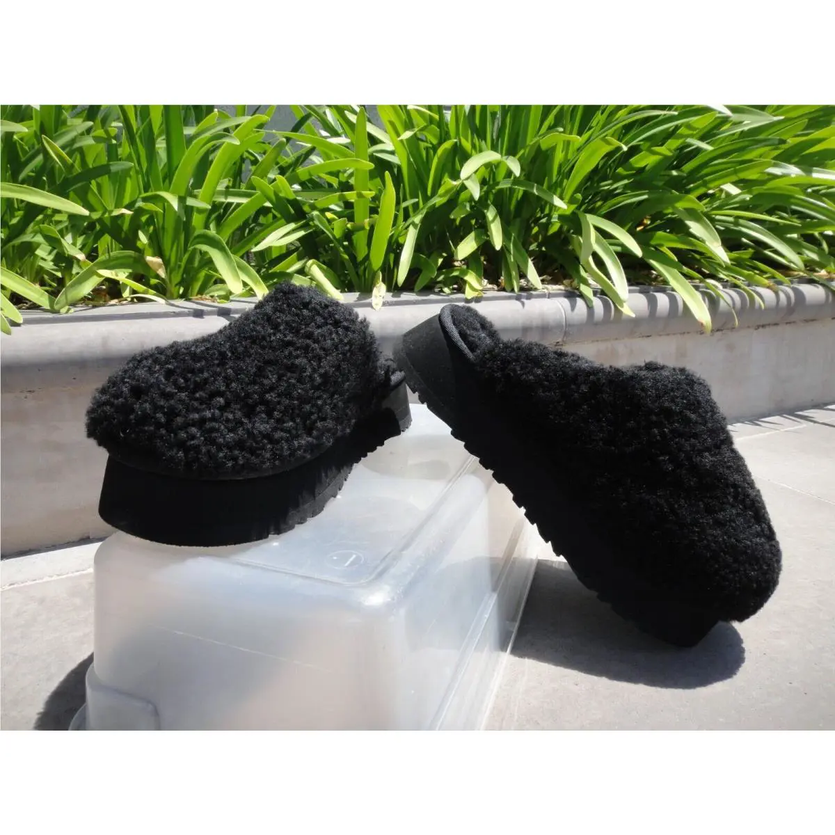 UGG shoes - UGG Maxi Curly - Maxi Curly - Black 14