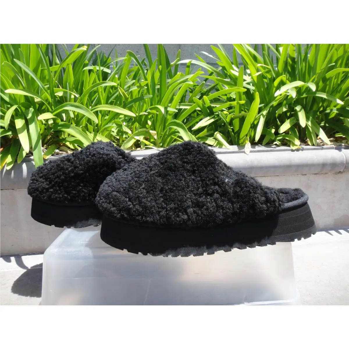 UGG shoes - UGG Maxi Curly - Maxi Curly - Black 0