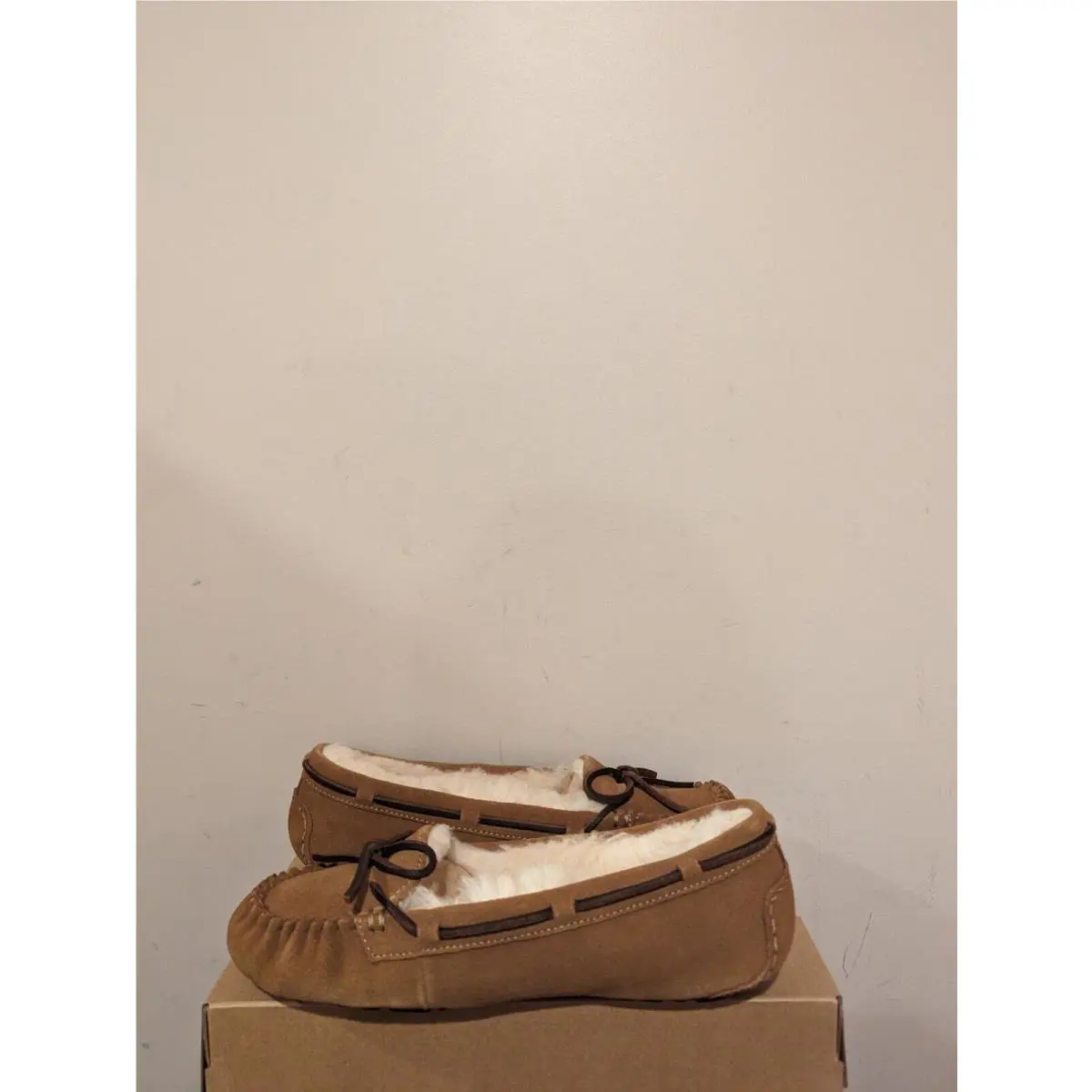 UGG shoes - Chestnut 1