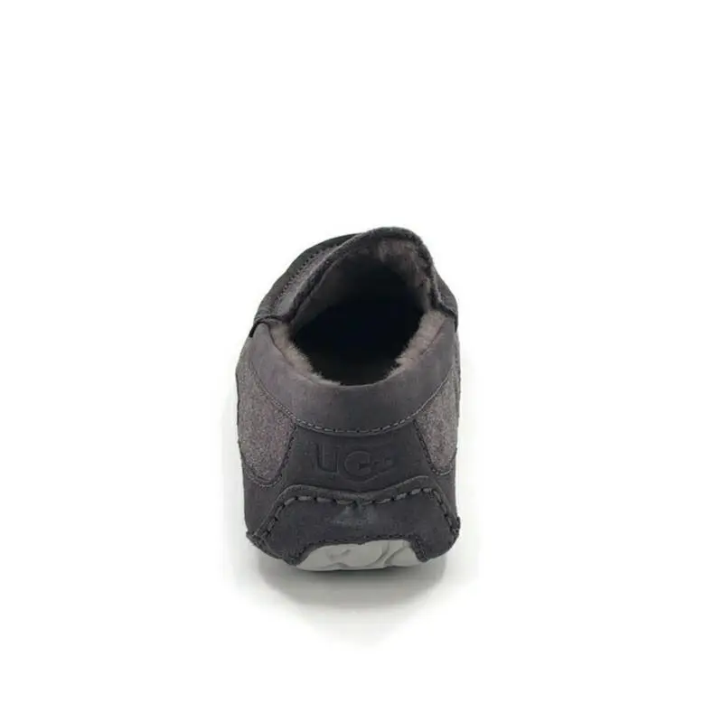 UGG shoes - UGG Ascot - Ascot - Gray 8