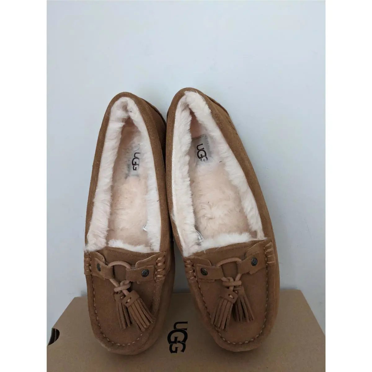 UGG shoes - Chestnut 1