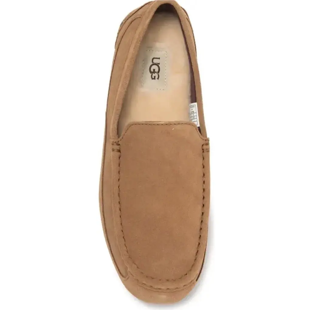UGG shoes - Alder - Alder - Brown (UPC: 887278366706) 2