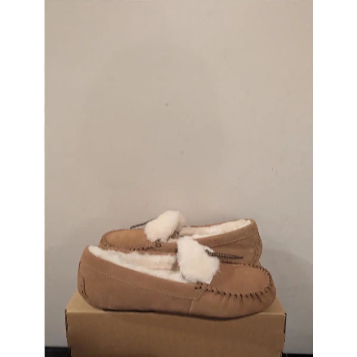 UGG shoes - Chestnut 2
