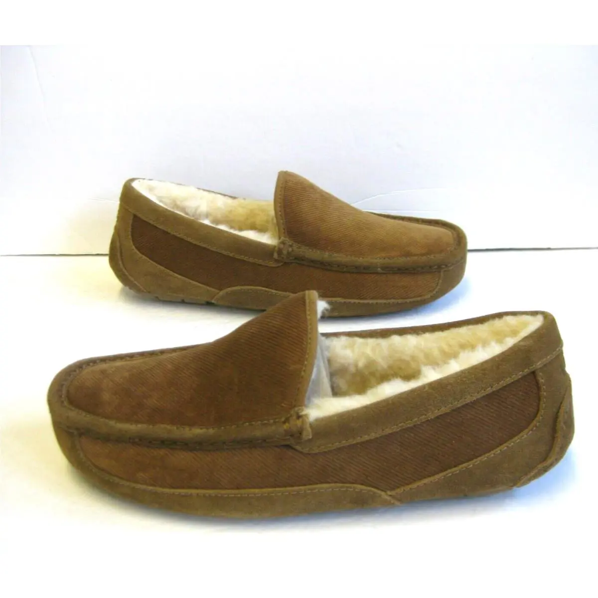 UGG shoes - ASCOT - ASCOT - Chestnut 1