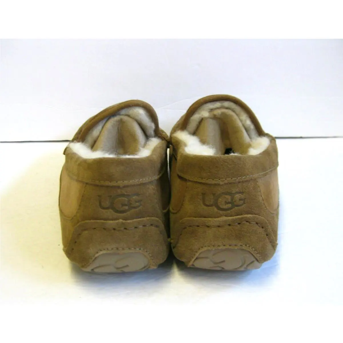 UGG shoes - ASCOT - ASCOT - Chestnut 2
