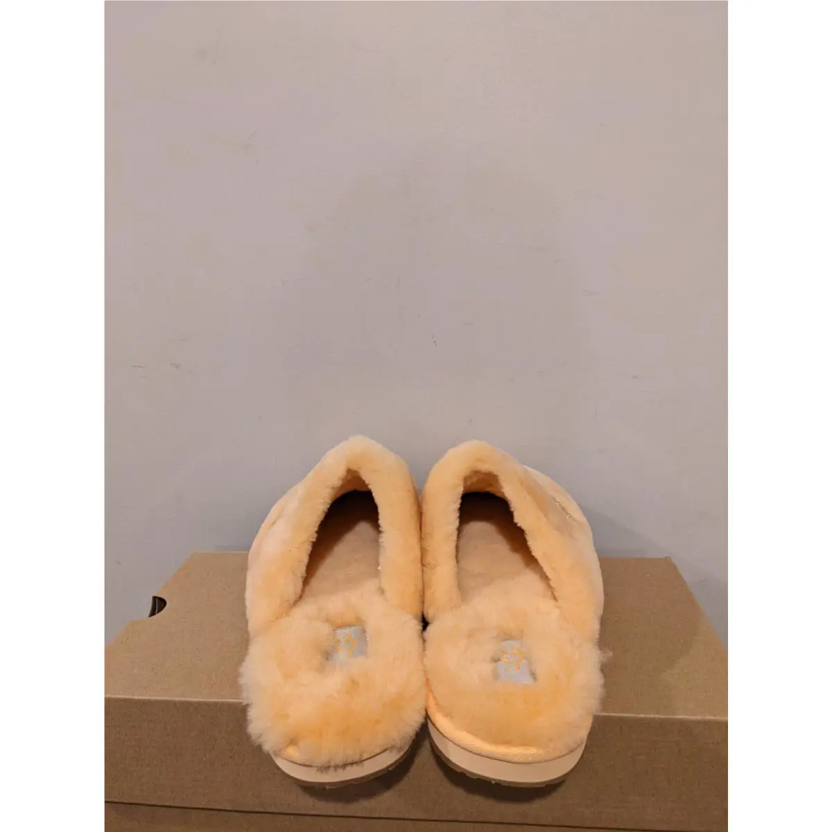 UGG shoes - Ugg Australia Dalla - Australia Dalla - SSD 3